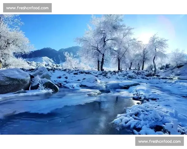 《捕捉瞬间之美摄影比赛作品展现多彩世界与无限创意》